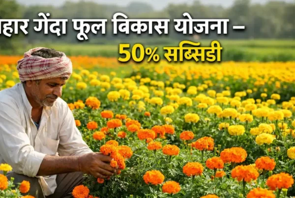 बिहार गेंदा फूल खेती योजना 2026 – किसान को 50% सब्सिडी और लाभ