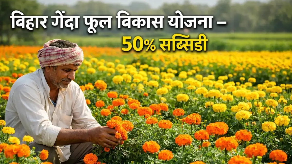 बिहार गेंदा फूल खेती योजना 2026 – किसान को 50% सब्सिडी और लाभ