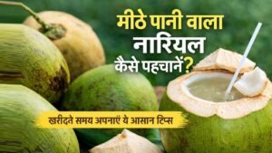 मीठे पानी वाला नारियल कैसे पहचानें खरीदते समय आसान टिप्स