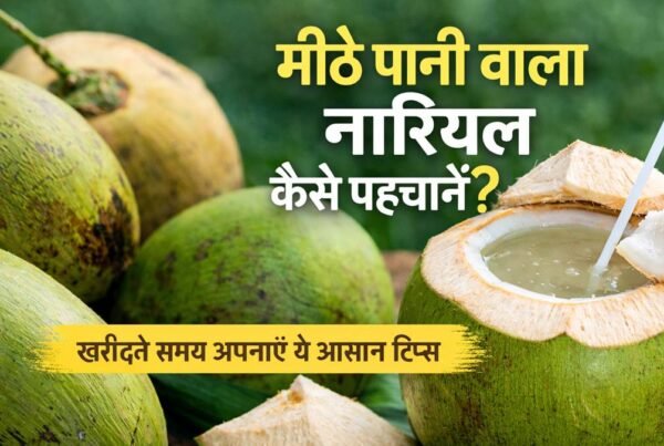 मीठे पानी वाला नारियल कैसे पहचानें खरीदते समय आसान टिप्स